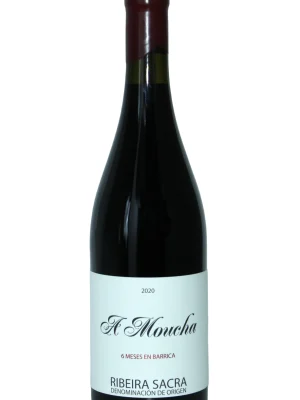 Vino a moncha - delantera